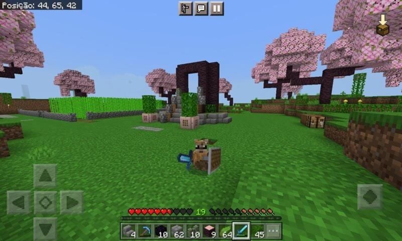 Minecraft PE